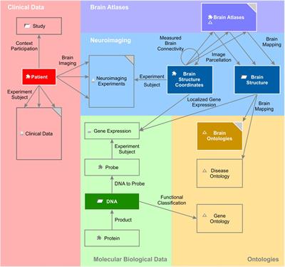 From Matrices to Knowledge: Using Semantic Networks to Annotate the Connectome